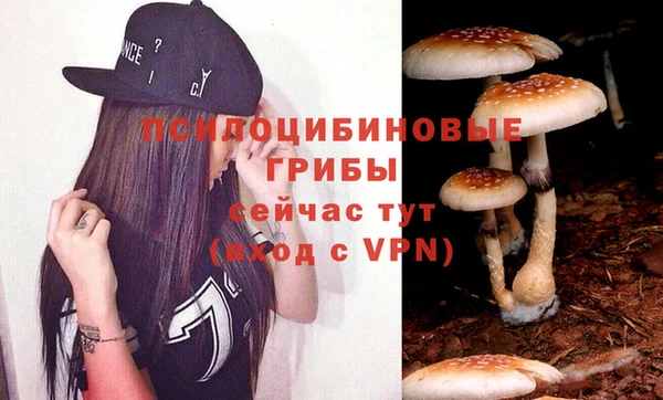 гашик Абинск