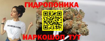прущие крисы Анжеро-Судженск