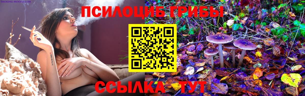 Псилоцибиновые грибы Psilocybe Ангарск