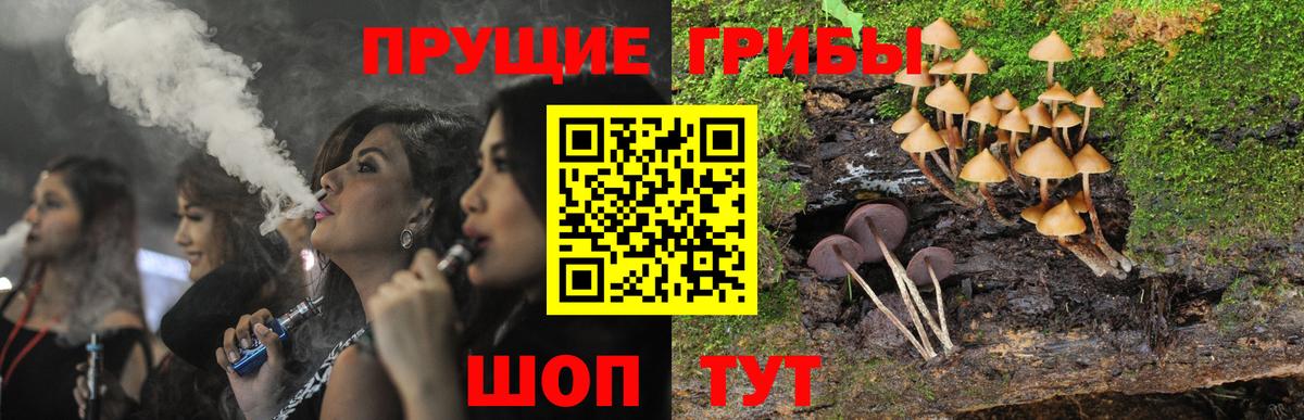 Псилоцибиновые грибы мухоморы  Псилоцибиновые грибы Psilocybine cubensis  Вход с VPN  Ангарск 